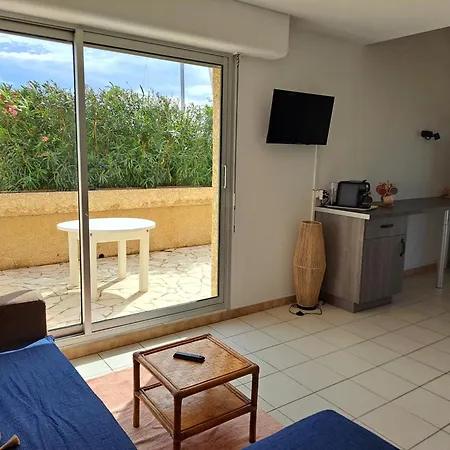 Sur L'ile Des Marinas Avec Piscine, Parking Et Ponton Prive Agde