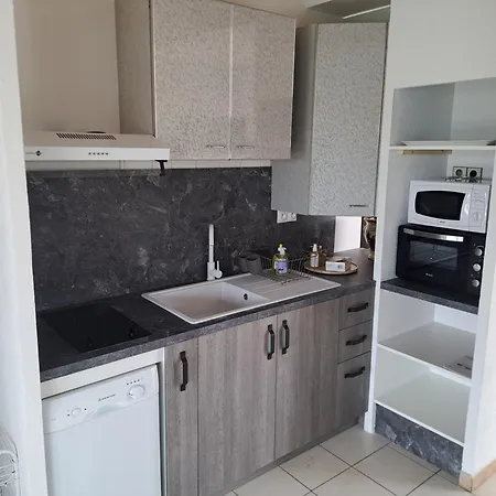 Willa Sur L'ile Des Marinas Avec Piscine, Parking Et Ponton Prive Agde