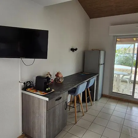 Sur L'ile Des Marinas Avec Piscine, Parking Et Ponton Prive Agde